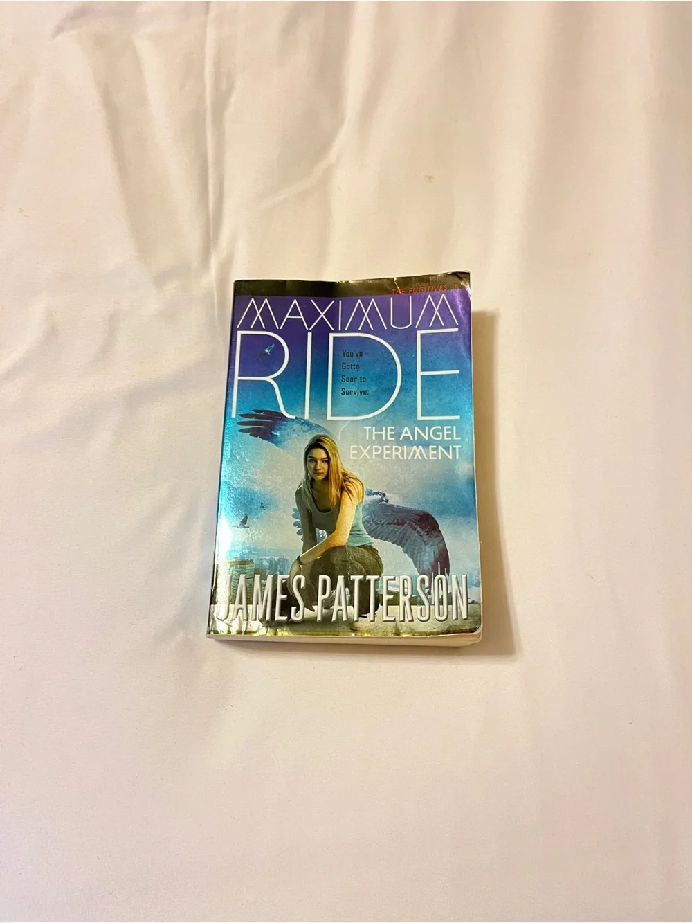 Maximum ride maximum ride